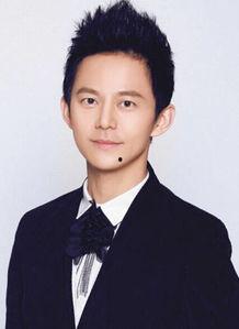 湖南籍娱乐明星,璀璨星河中的湘韵风采