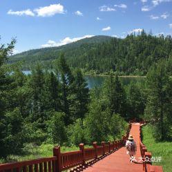 阿尔山娱乐有哪些,畅游自然，体验多元休闲生活