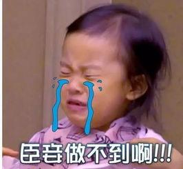 胡歌 小明表情包,趣味横生的网络文化现象