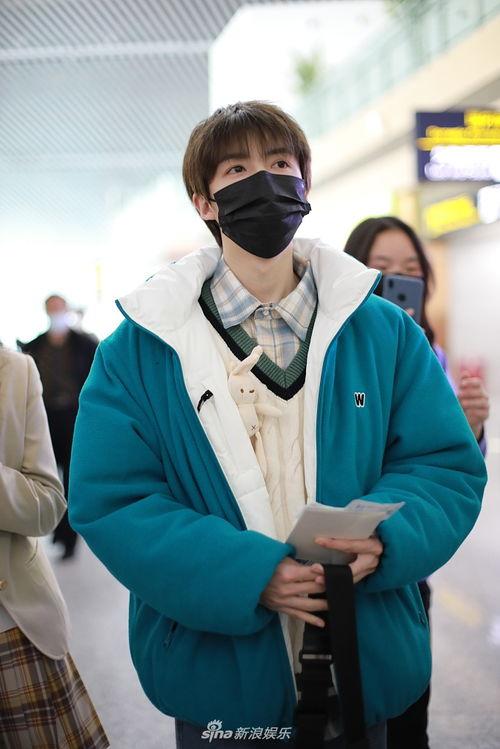 管栎图片,自然之美，光影交织的生态画卷